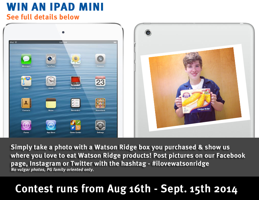 iPad-promopage